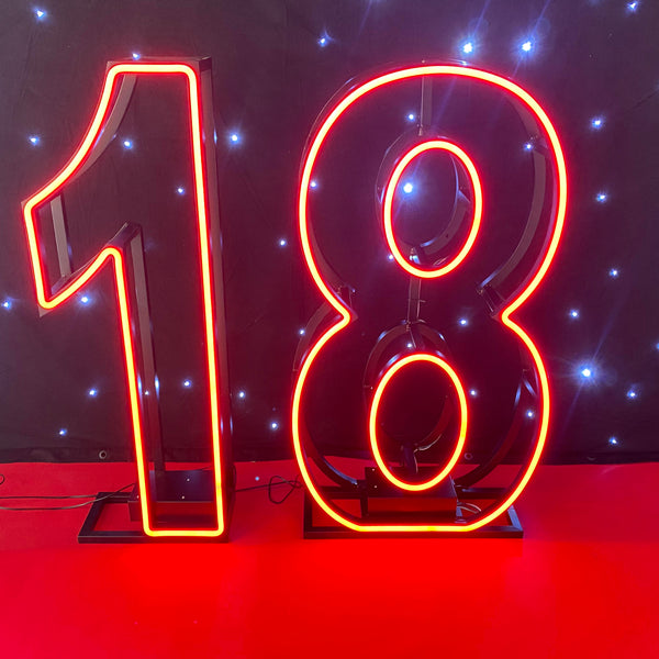 120cm Neon Numbers RBGW
